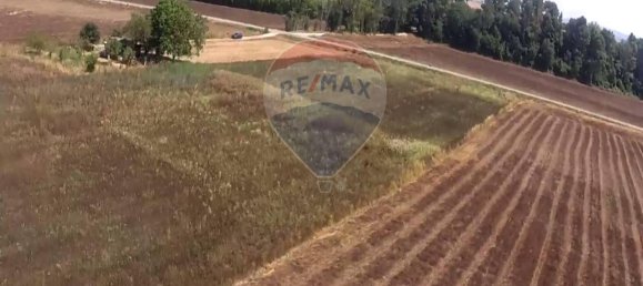 1 room Land in Monte Roberto, Italy No. 7414 4