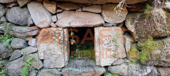 2 bedrooms House in Folgosinho, Portugal No. 79724 11