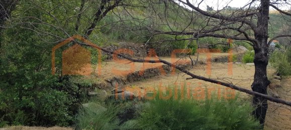 2 bedrooms House in Folgosinho, Portugal No. 79724 10