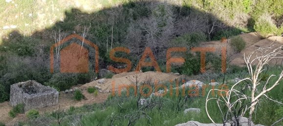 2 bedrooms House in Folgosinho, Portugal No. 79724 3