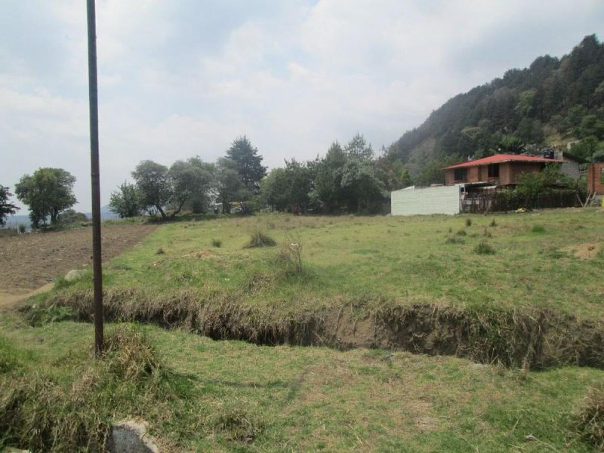  Land in Ocoyoacac, Mexico No. 202612