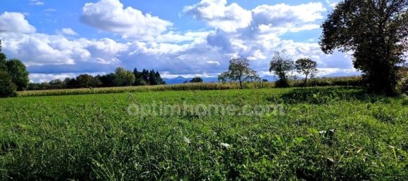 Grundstück in Lecussan, France 4898m², Nr. 100994 5