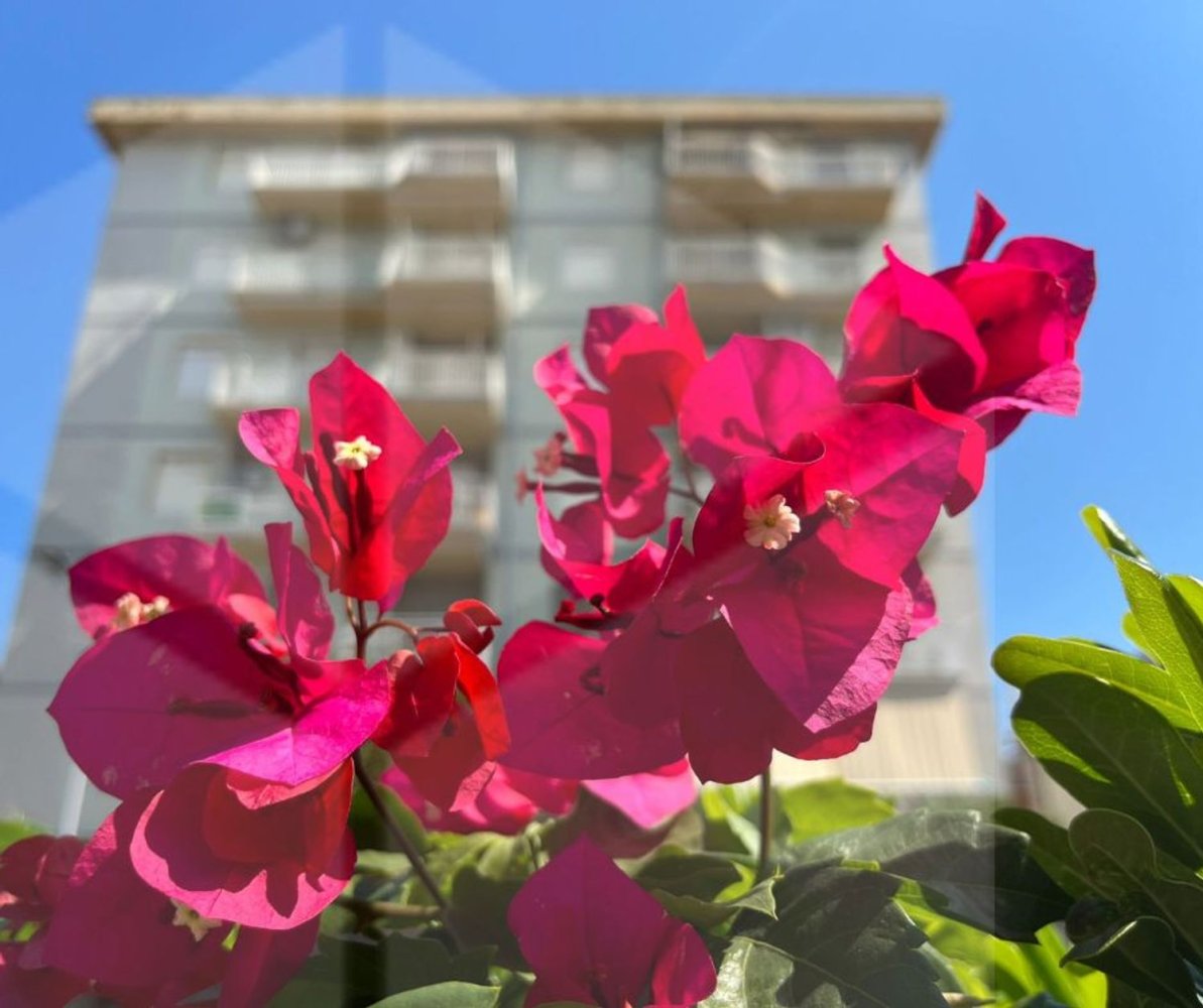 3غرفة بانتهاوس في Campomarino, Italy رقم 24984