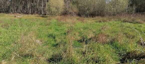 Terrain à Alcobaca, Portugal 1740m² No. 76994 8