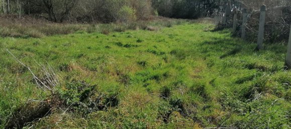 Terrain à Alcobaca, Portugal 1740m² No. 76994 6