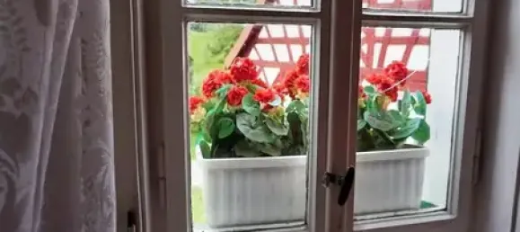 Ферма с 5 комнатами в Фогтланд, Германия № 21813 16