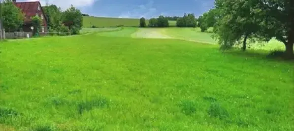 Ферма с 5 комнатами в Фогтланд, Германия № 21813 22