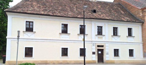 Коммерческая недвижимость с 13 комнатами в Холлабрунн, Австрия № 178000 4