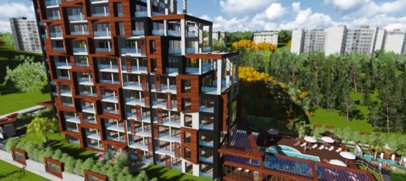 Studio in Istanbul, Turkey No. 31515 2