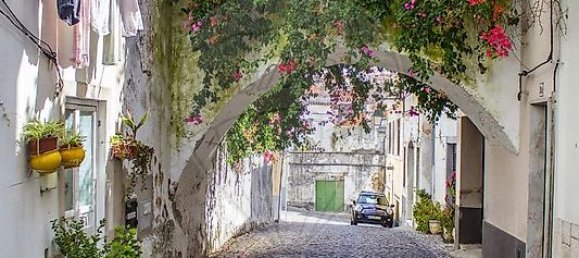 3 bedrooms House in Palmela, Portugal No. 19902 34