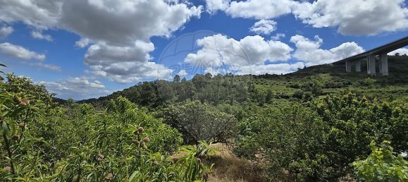 8 bedrooms House in Vila Franca de Xira, Portugal No. 49890 12