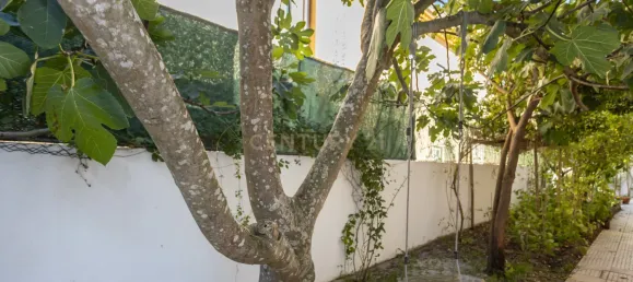 Casa T4 em Seixal, Portugal N.º 126120 13