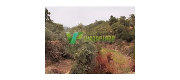 3 غرف نوم منزل في Monchique, Portugal رقم 42417 17