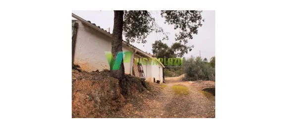 3 غرف نوم منزل في Monchique, Portugal رقم 42417 18