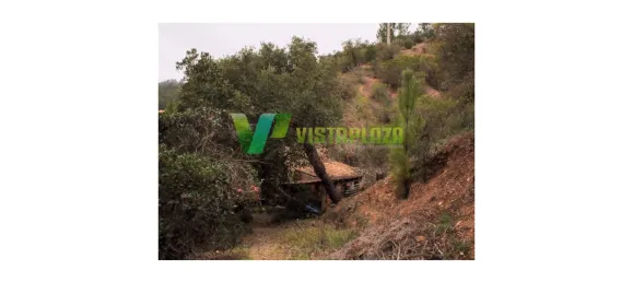 3 غرف نوم منزل في Monchique, Portugal رقم 42417 15