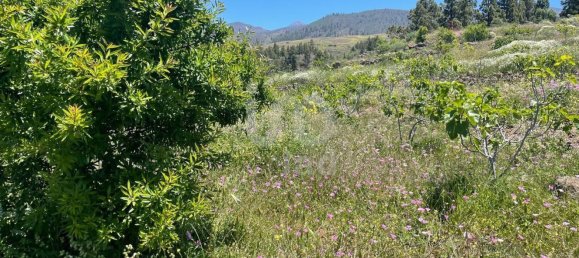 Земельный участок 11000м² в Адехе, Испания № 168825 6