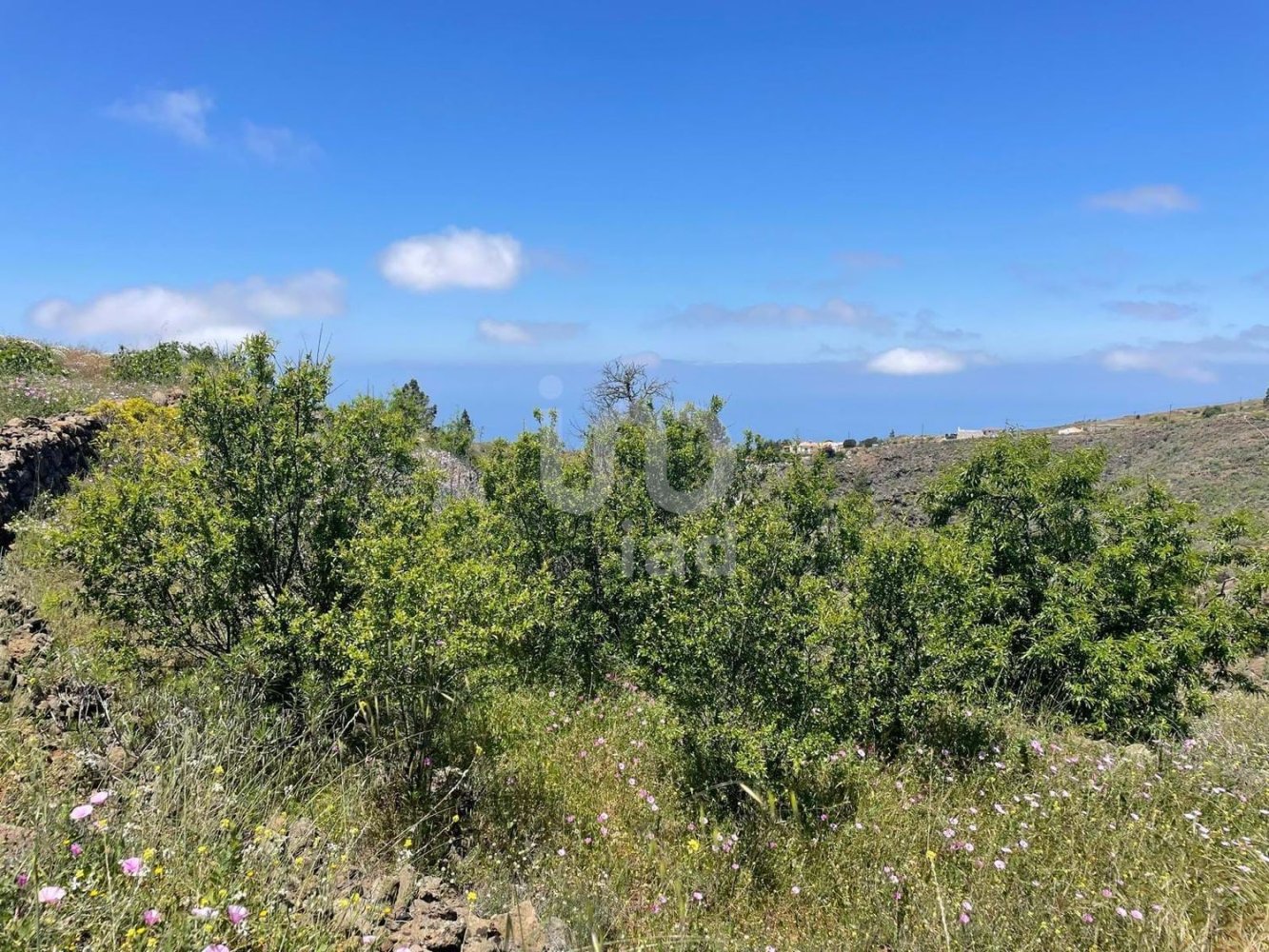 Земельный участок 11000м² в Адехе, Испания № 168825