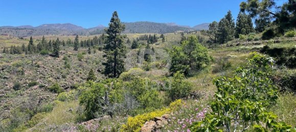 Земельный участок 11000м² в Адехе, Испания № 168825 3