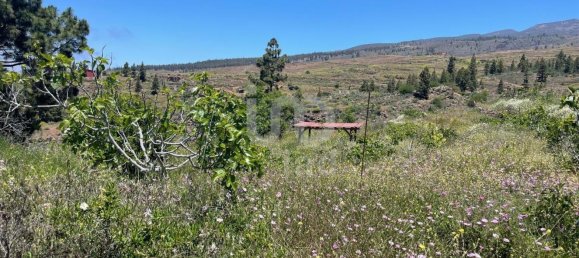 Земельный участок 11000м² в Адехе, Испания № 168825 7