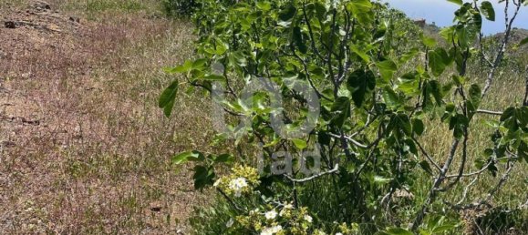 Земельный участок 11000м² в Адехе, Испания № 168825 8