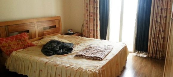 Квартира с 4 спальнями в Тэйхо, Вьетнам № 5787 3