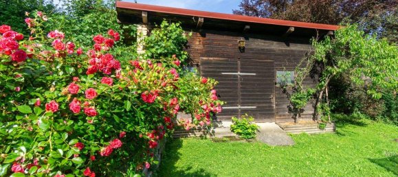 6-Zimmer Haus in Pressbaum, Austria, Nr. 239981 21