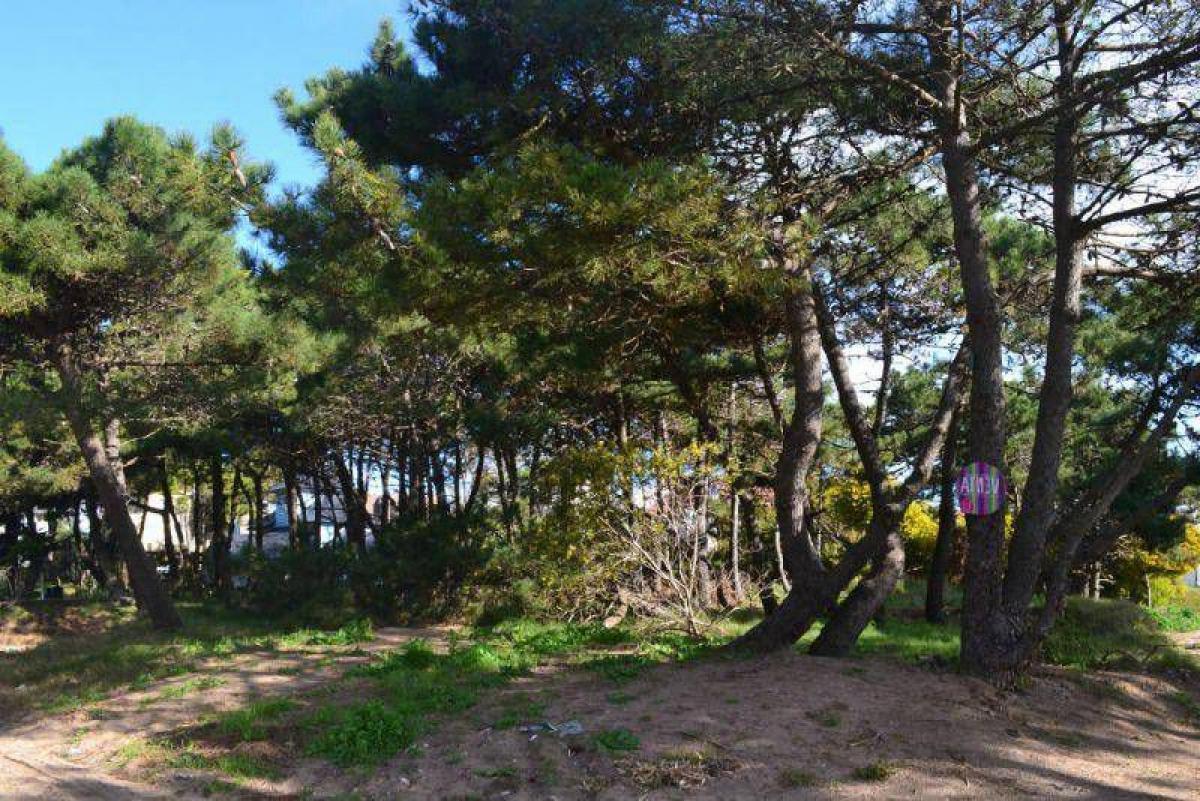  Land in Mar del Plata, Argentina No. 111036