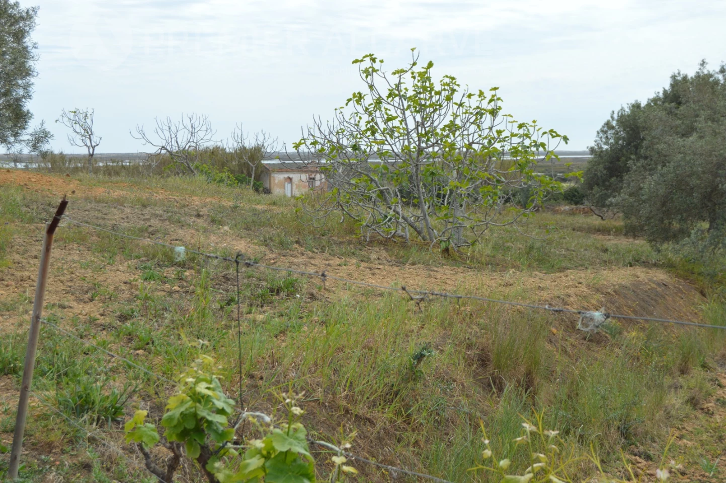 2 bedrooms House in Olhao, Portugal No. 128644