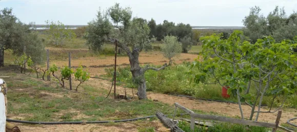 2 bedrooms House in Olhao, Portugal No. 128644 31