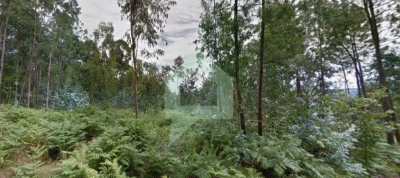 4679m² Land in Figueiredo, Portugal No. 27641 2