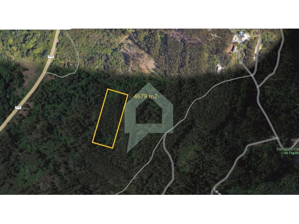 4679m² Land in Figueiredo, Portugal No. 27641