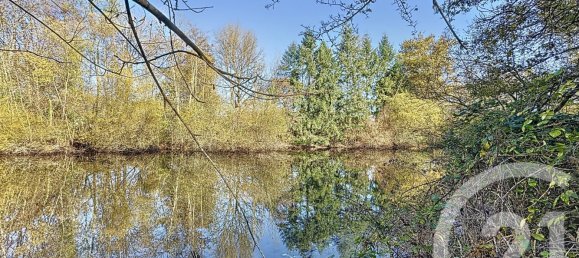 Casa de 6 dormitorios en Nouan-le-Fuzelier, France No. 159644 12