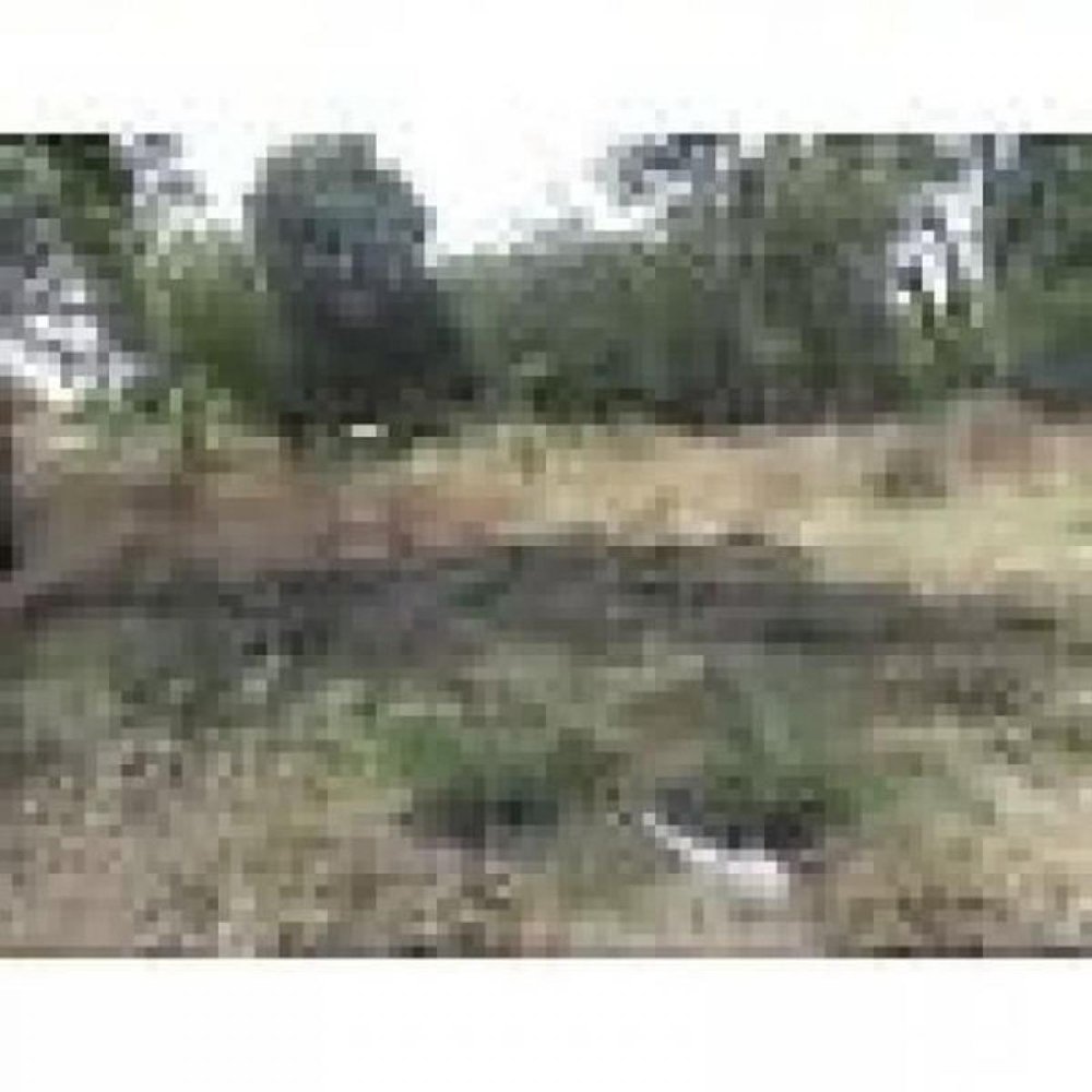 Grundstück in Pilar, Argentina, Nr. 49879