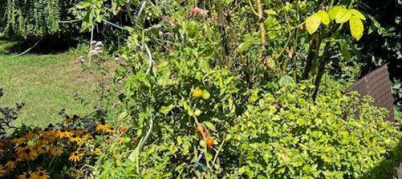 Casa de 2 dormitorios en Vienna, Austria No. 221699 34