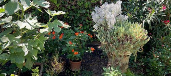 Casa de 2 dormitorios en Vienna, Austria No. 221699 32