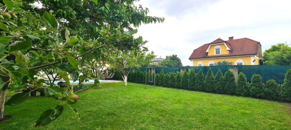 5-salle Maison à Wimpassing an der Leitha, Austria No. 217882 5