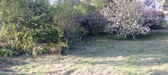 8-Zimmer Haus in Neuwied, Germany, Nr. 199998 16