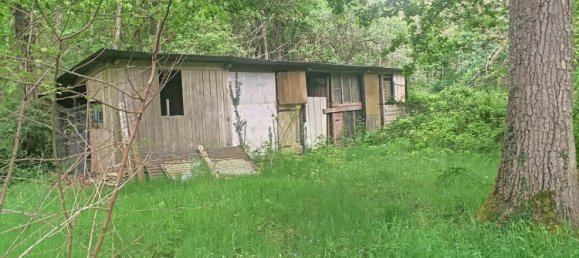 Casa de 2 dormitorios en Pressigny-les-Pins, France No. 70754 15