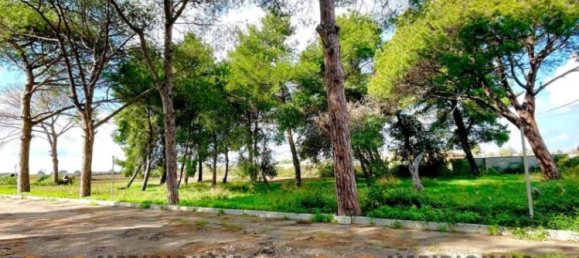 Villa de 10 dormitorios en Lecce, Italy No. 203127 24