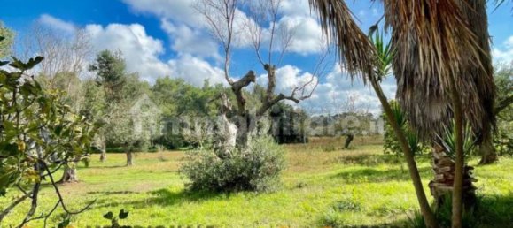 Villa de 10 dormitorios en Lecce, Italy No. 203127 32