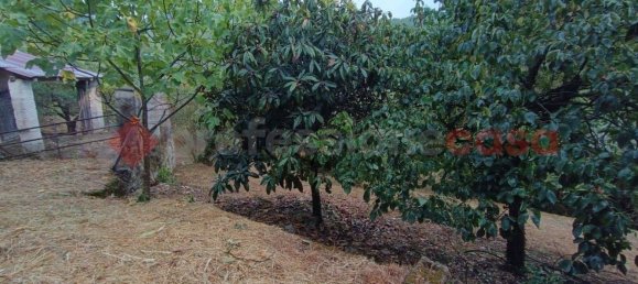 Casa de 5 habitaciónes en Vicalvi, Italy No. 54911 14