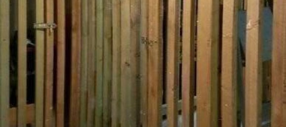 2 bedrooms Apartment in Chemnitz, Germany No. 152190 20