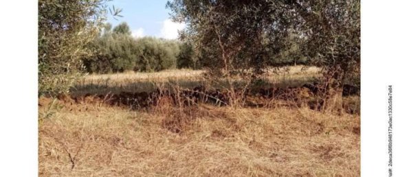 Земельный участок в Витербо, Италия № 363648 3