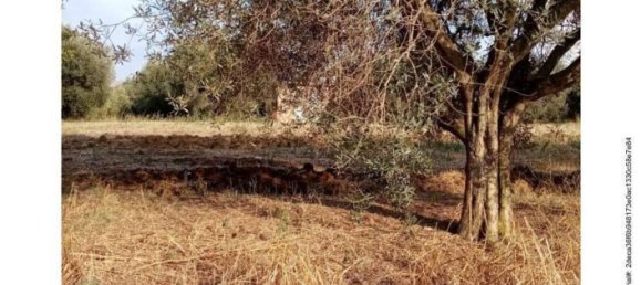 Земельный участок в Витербо, Италия № 363648 2