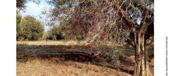 Земельный участок в Витербо, Италия № 363648 4