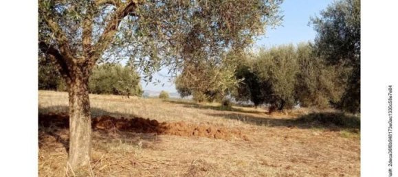 Земельный участок в Витербо, Италия № 363648 5