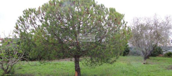 3 bedrooms House in Luz, Portugal No. 121512 47