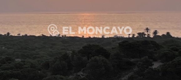 2 chambres Penthouse à Torrevieja, Spain No. 174640 19