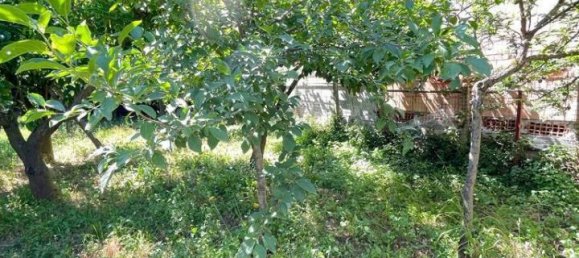 2 rooms House in Lamezia Terme, Italy No. 17655 3