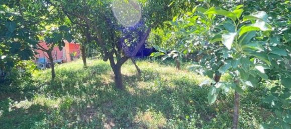 2 rooms House in Lamezia Terme, Italy No. 17655 4